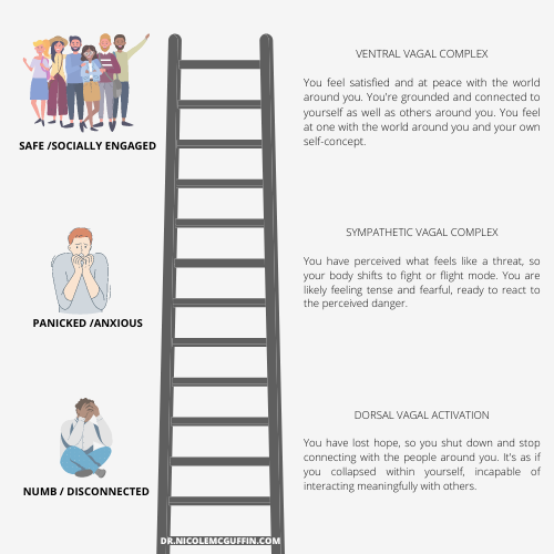 Polyvagal Theory ladder